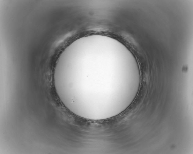 X0000093391398200711011301