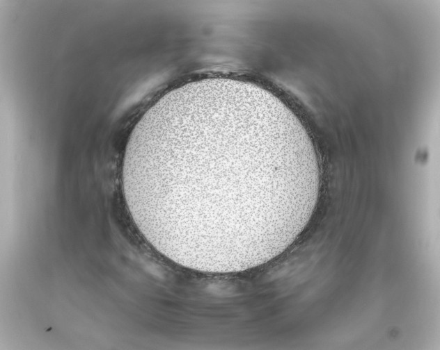 X0000093391399200711011301