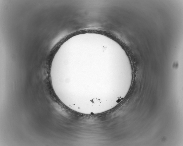 X0000093391400200711011301