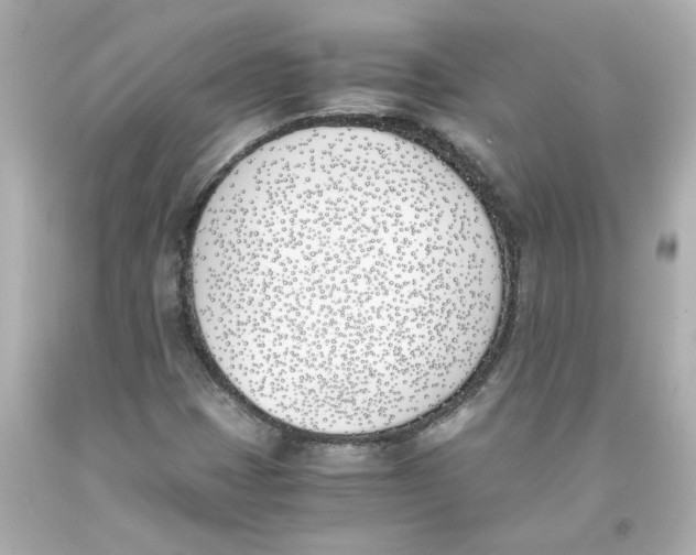 X0000093391401200711011301