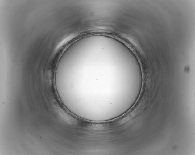 X0000093391402200711011301