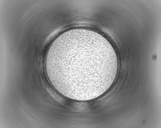 X0000093391403200711011301