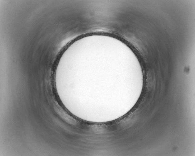 X0000093391404200711011301