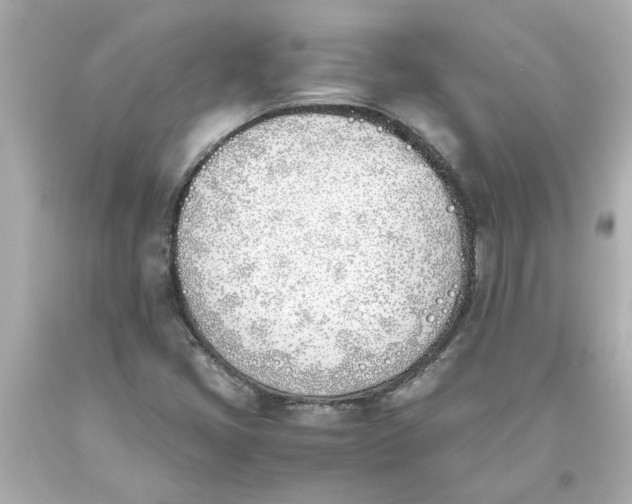 X0000093391405200711011301