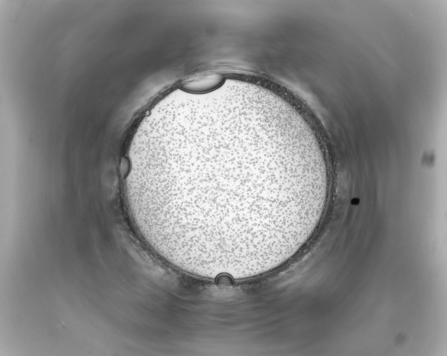 X0000093391407200711011301