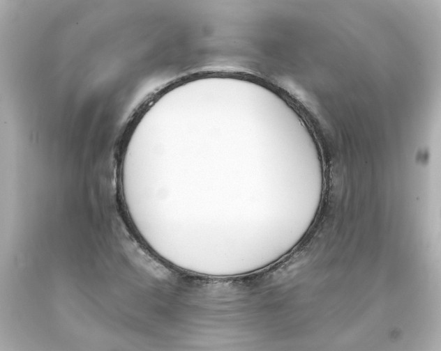 X0000093391408200711011301