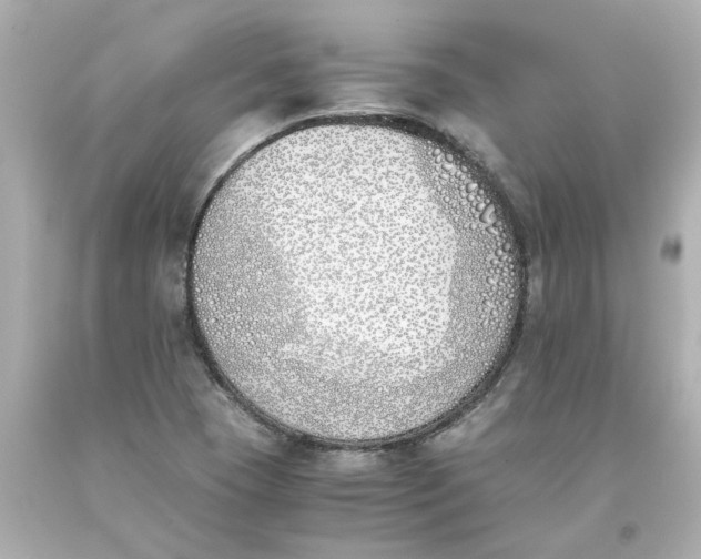 X0000093391409200711011301