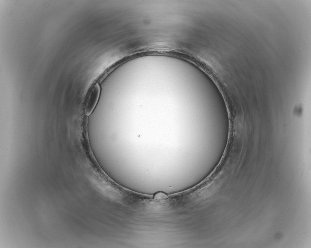 X0000093391410200711011301