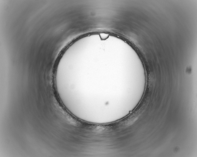 X0000093391412200711011301