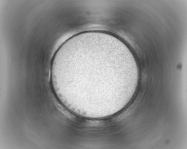 X0000093391413200711011301