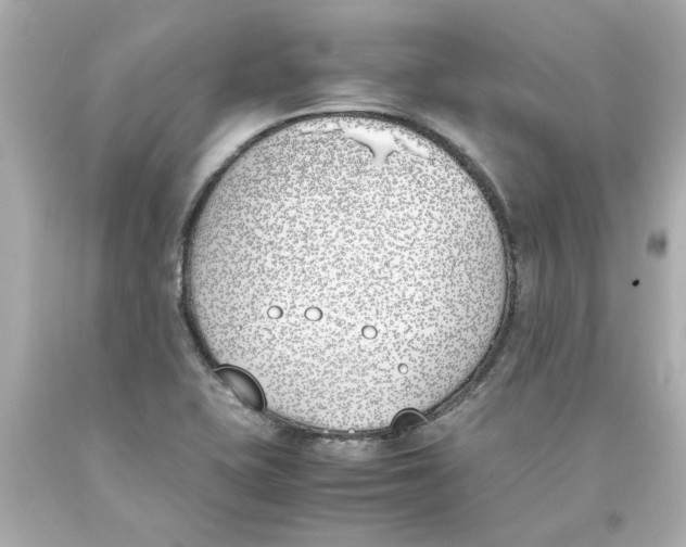 X0000093391415200711011301