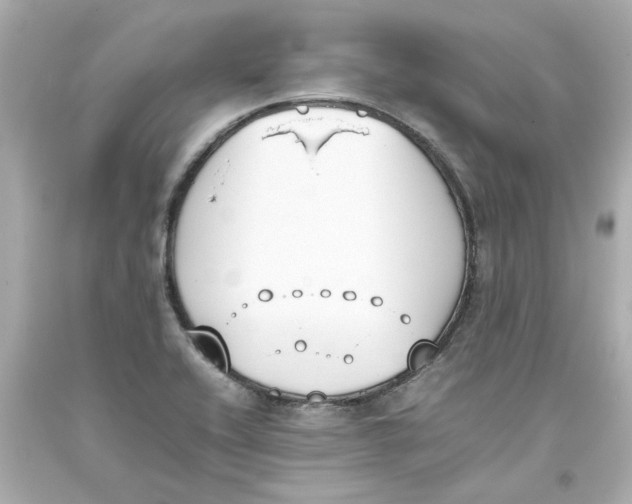 X0000093391416200711011301