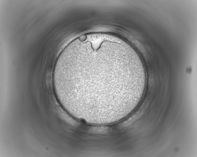 X0000093391417200711011301