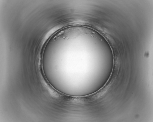 X0000093391418200711011301