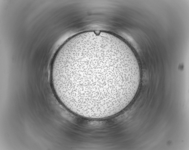 X0000093391419200711011301