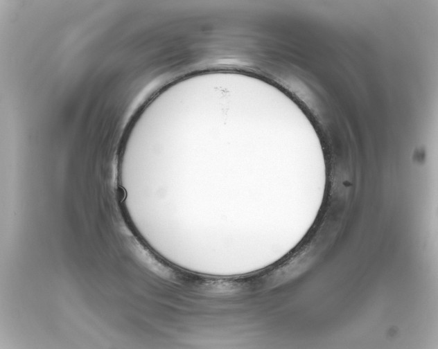 X0000093391420200711011301