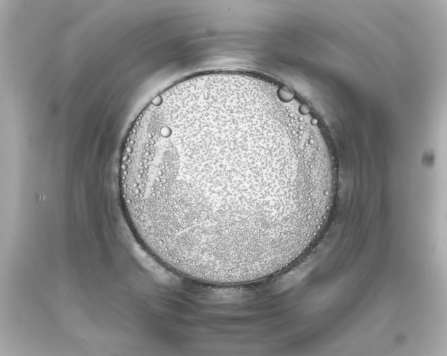 X0000093391421200711011301