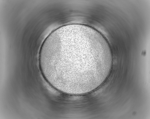 X0000093391423200711011301