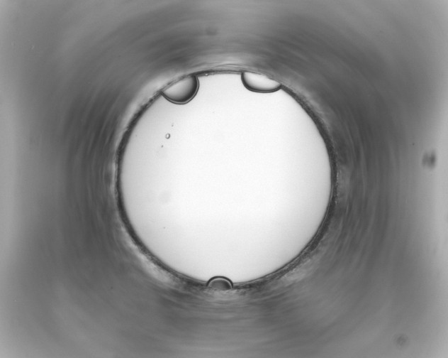 X0000093391424200711011301