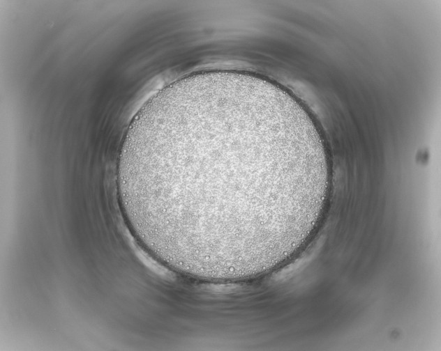 X0000093391425200711011301