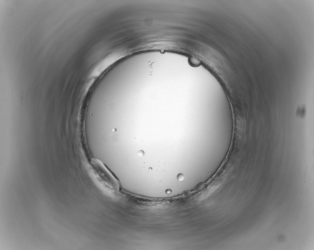 X0000093391426200711011301