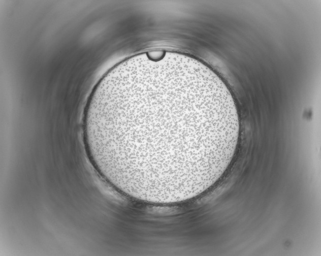 X0000093391427200711011301