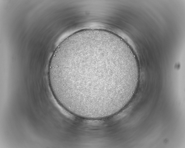 X0000093391429200711011301