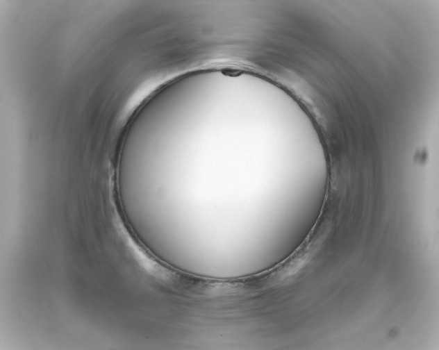 X0000093391430200711011301