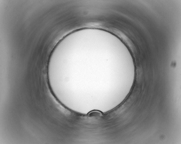 X0000093391432200711011301