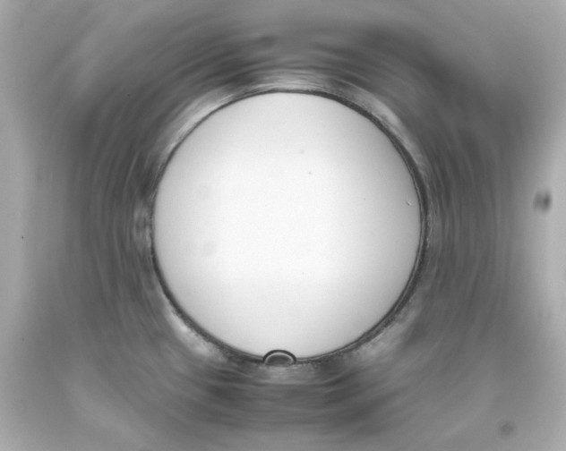 X0000093391433200711011301