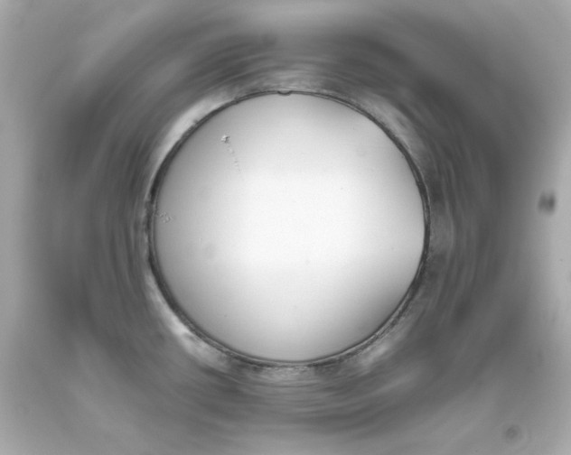 X0000093391434200711011301