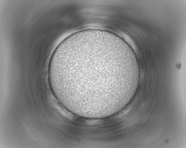 X0000093391435200711011301