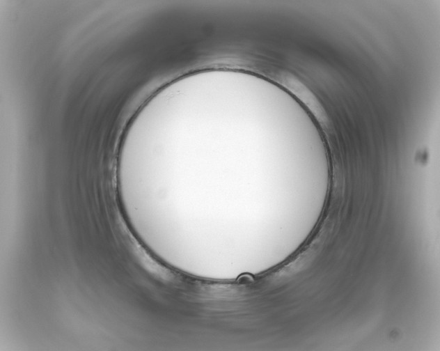 X0000093391436200711011301