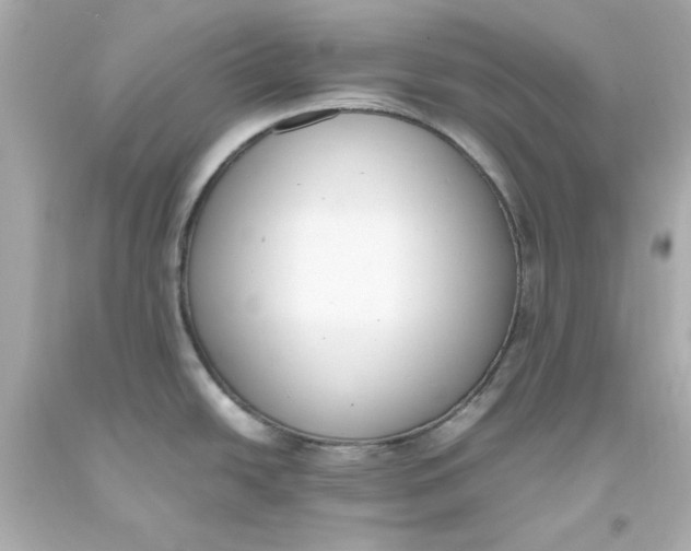 X0000093391438200711011301