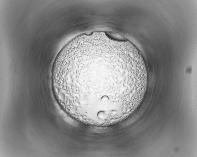 X0000093391439200711011301