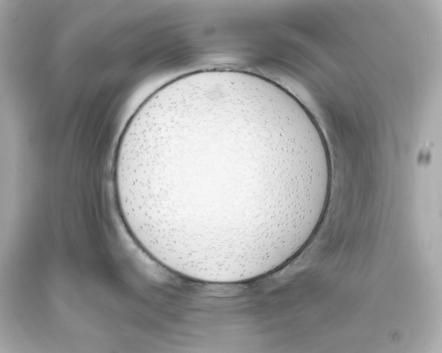 X0000093391440200711011301