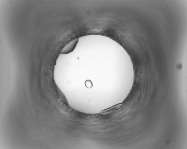 X0000093391441200711011301