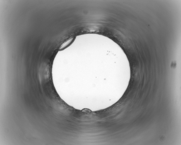 X0000093391442200711011301