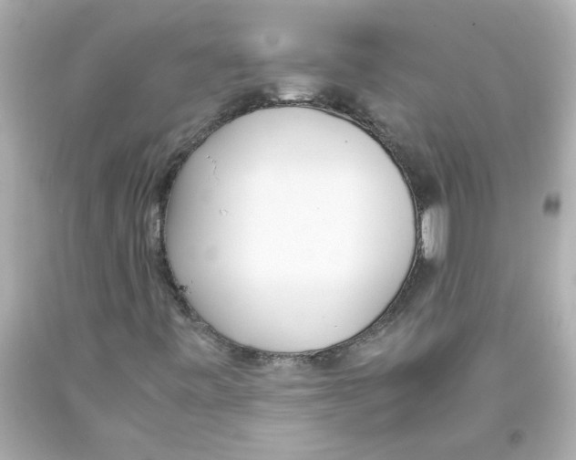 X0000093391443200711011301