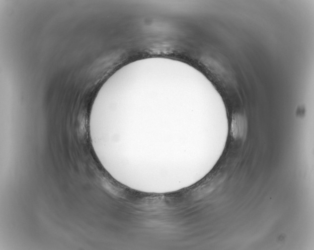 X0000093391444200711011301