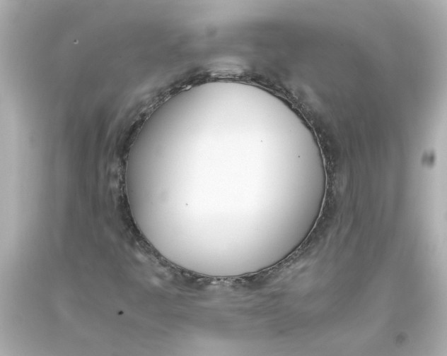 X0000093391445200711011301