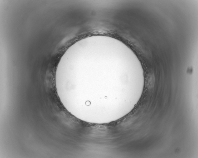 X0000093391446200711011301