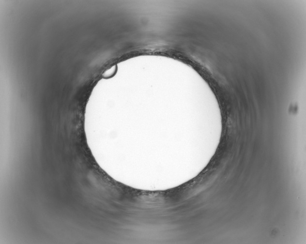 X0000093391447200711011301