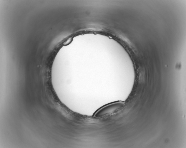 X0000093391448200711011301