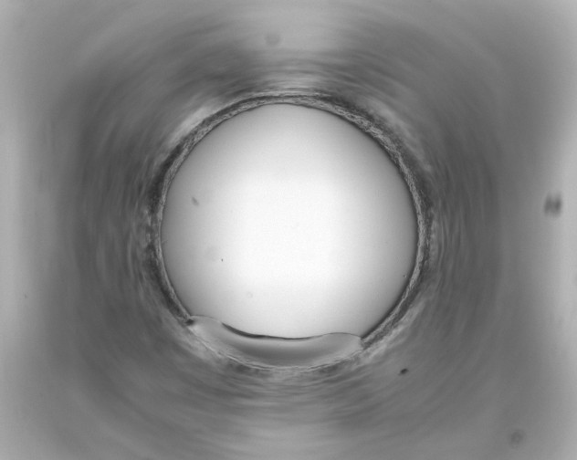 X0000093391449200711011301