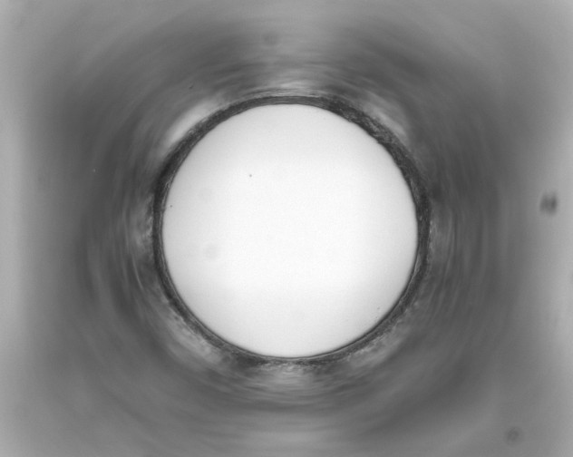 X0000093391450200711011301