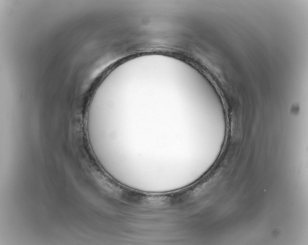 X0000093391453200711011301