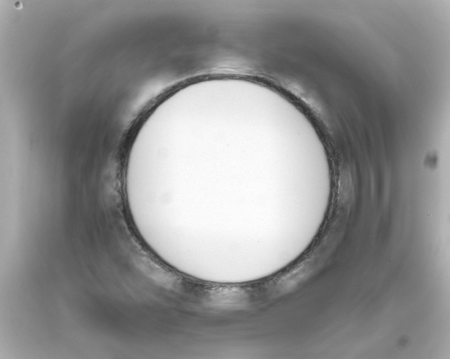 X0000093391454200711011301