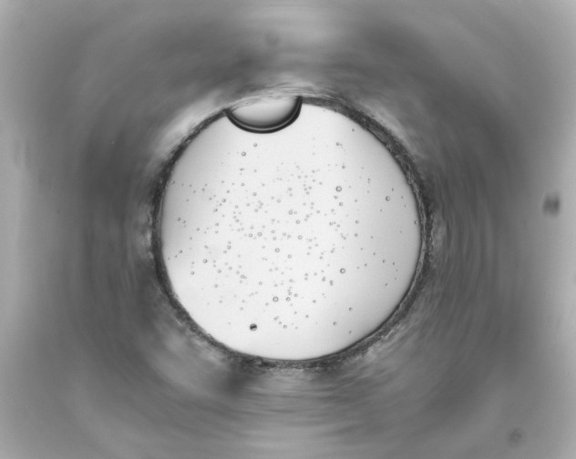 X0000093391455200711011301