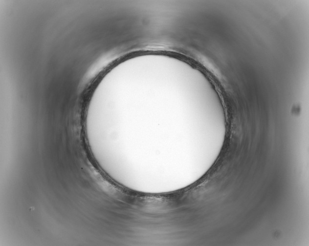 X0000093391456200711011301